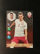 ARKADIUSZ MILIK - BIEDRONKA "DUMNI Z NASZYCH"