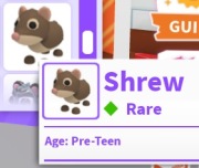 No Pot Shrew! |NAJTANIEJ SZYBKO DUŻO POLECEŃ!| Adopt Me |Roblox