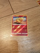 Karta pokemon TCG Numel 11/111 reverse holo