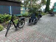 przyczepka rowerowa 