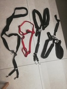 Nosidło i Szelki  dla psa