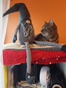 Skrzat Krasnal Rękodzieło Zabawka Ozdoba 