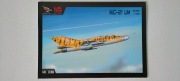 MiG-21UM 1:33 MSmodel