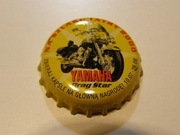 Tatra nr 7 butelkowany