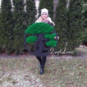 BONSAI CHROBOTEK 80 CM 