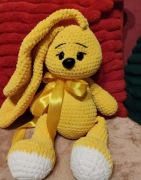 Królik kłapouszek żółty