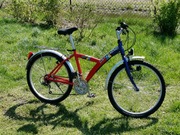 Rower Kross Junior 20 cali