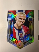 JWL17 ERLING HAALAND ELITE CUT FIFA365