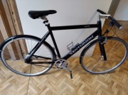 Rower Centurion basic 1005 aluminium 