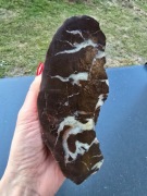 Septaria Gnaszyn, septaria smoczy kamień