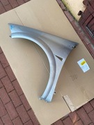 RENAULT MEGANE 2 BŁOTNIK LEWY PRZEDNI TED69