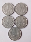 Zestaw monet 1 zł 1982 r cienka data.