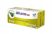 Amylactiv max 60 tabletek dla kotów