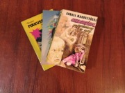 Makuszyński Człowiek znaleziony w nocy Awantura o Basie Wielka brama