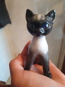 KOT ROSENTHAL 