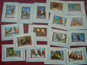 Umm Al Qiwain 1972 MNH Fauna Ptaki