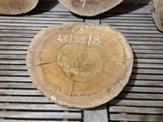 ORZECH CZARNY Amerykański 43/39/8 cm Wysuszony Blat Plaster Drewna Stolik