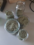 Sól domowa - ziołowa 150 g - Podagrycznik