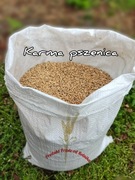 Pszenica Karma 20 kg 