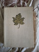 Huragan, Wacław Gąsiorowski, Nasza Księgarnia 1967