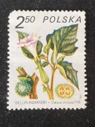 Znaczek pocztowy Polska Bieluń Indiański - Datura innoxia 1980 XF
