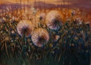 Dmuchawce 50x70 cm akryl