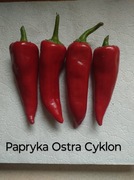 Papryka Ostra Cyklon 