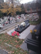 Nagrobek 180x60 Ledziny i okolice montaż gratis 