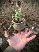 Wielki Słój Alexander, żelazna pięść Elden Ring