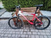 Rower Trek rama carbon