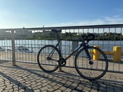 Cinelli Vigorelli 2024