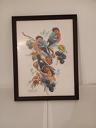 Obraz wyszyty haftem krzyżykowy 