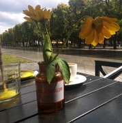 Korepetycje technik farmacji receptura online TPL technologia postaci leku