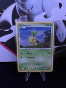 Turtwig #103 Pokemon Diamond & Pearl (Polska)
