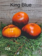 024-King Blue. Pomidory kolekcjonerskie.