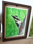 Obraz A4 „Dzięcioł duży” – akwarela w ramce z ciemnego drewna