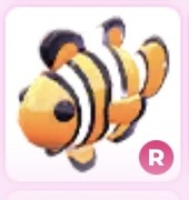 Clownfish R adopt me