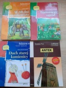 Zestaw lektur szkolnych 