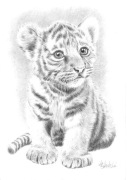 Rysunek ołówkiem -Tygrysek- Ksero A4