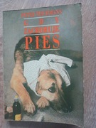 Gdy zachoruje pies Teichmann PWRiL 1991