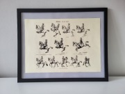 Obraz grafika konie (6) wyższa szkoła jazdy