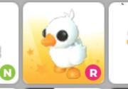 Adopt me pet happy duckling