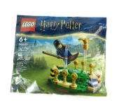 LEGO Harry Potter zestaw Quidditch Practice #30651 klocki
