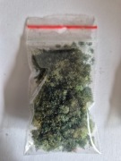 Posypka modelarska zgniła zieleń na krzewy drzewka