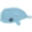 Beluga Whale Adopt Me AM