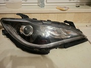 Lampa Pacyfica 2019 Prawa 