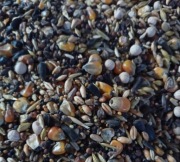 Karma dla gołębi lotowa 20kg