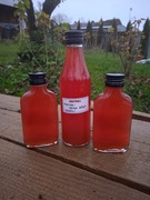 OKSYMEL MALINA - DZIKA RÓŻA (250 ml) - W NASZEJ SPIŻARNI