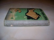 MAYNE REID - BIAŁY WÓDZ INDIAN - INDJAN -1934 