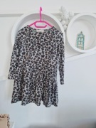 Sukienka Zara girls panterka dzianina 116